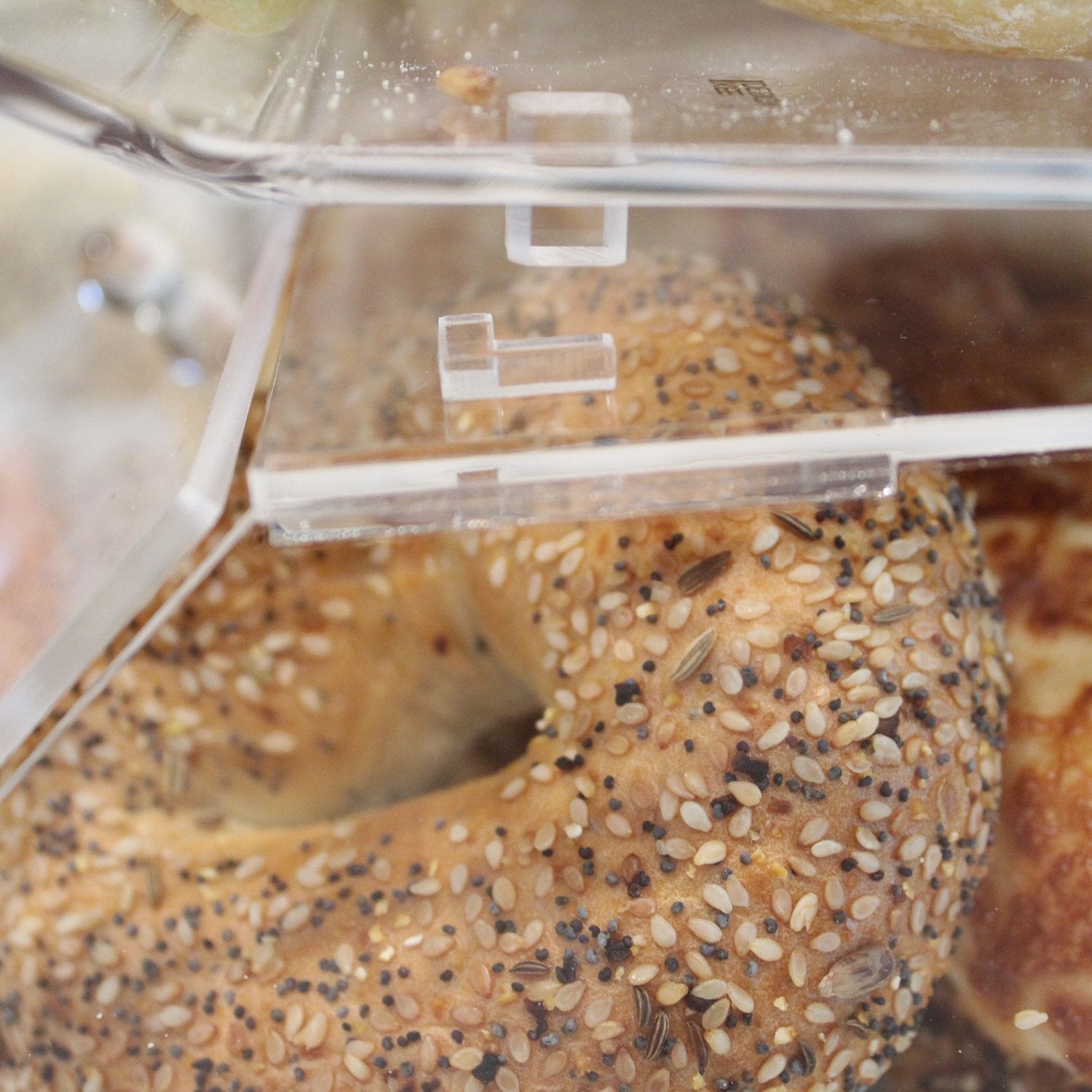  Bakery Display Case