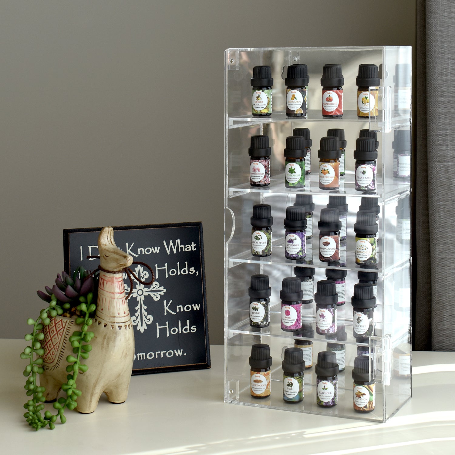 Acrylic 5 Levels Mirrored Back Display Shelf with Door